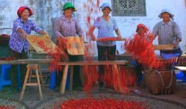 农民二龙最新的爆料,农业新动向背后的惊人内幕