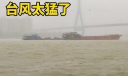 1415最新爆料,揭秘行业巨变背后的秘密