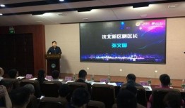 沈老师最新爆料新闻,最新爆料新闻背后的惊人真相