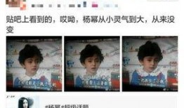 小萌大爆料全集视频,揭秘幕后真相，带你走进娱乐风云