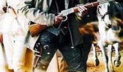 大漠枪神全集在线观看,烽火连天，英雄逐梦的传奇征程