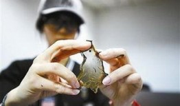 紫菜制作爆料视频大全集,全方位揭秘紫菜美食制作技巧