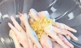 无缝鸡爪爆料视频大全,视频大全大揭秘