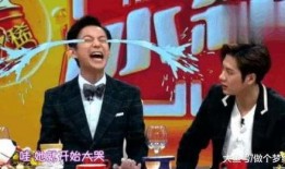 何炅和谢娜最新爆料,揭秘娱乐圈背后的故事与真相