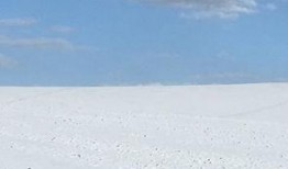 瓜洲吃瓜免费,免费畅享夏日清凉盛宴