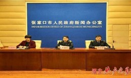 新闻爆料曝光案例,揭秘典型案例背后的真相与反思