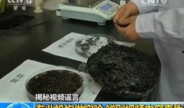 紫菜制作爆料视频大全集,全方位揭秘紫菜美食制作技巧