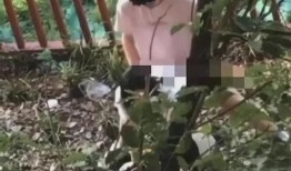 爆料保定小树林事件视频,视频揭露惊人真相