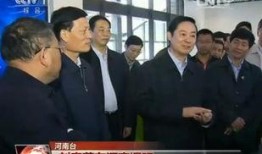 大象融媒王春阳爆料视频,揭秘视频背后的惊人真相