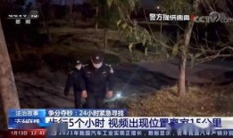 聚焦 在线观看,揭秘热门在线观看现象背后的故事