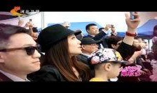 明星爆料狗腿视频大全集,明星爆料背后的真相揭秘