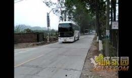 增城新闻爆料,独家爆料，揭秘增城最新动态