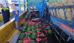 高速免费吃瓜群众,吃瓜群众狂欢时刻