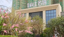 雷府最新爆料电话查询,揭秘电话查询背后的惊人真相！