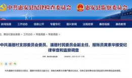 南安爆料最新消息今天,今日热点事件深度解析