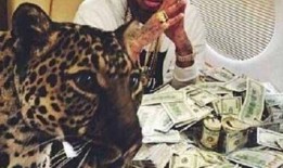 呆娃崩溃爆料视频大全集,视频大全集深度解析