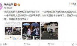 赵又廷爆料王丽坤视频,事件背后真相揭秘