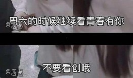 网友爆料骆驼炒作事件视频,网友爆料视频揭露真相