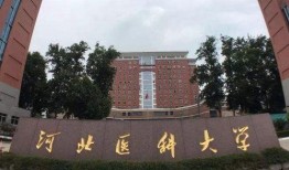河北大学城爆料案件最新,真相揭开，校园安全再引关注