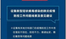 河南防疫爆料最新消息,揭秘防疫举措与挑战
