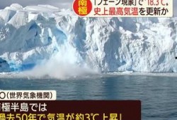 南极最新爆料新闻视频,揭秘未知的极地奥秘