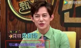 何炅爆料海涛视频,揭秘背后故事与感人瞬间