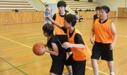 石家庄篮球爆料事件视频,真相与争议的交织