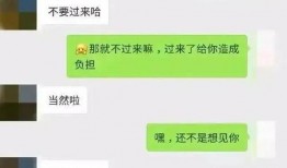 全网免费吃瓜聊天记录群2024,揭秘年度热门话题与热议瞬间