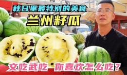 吃瓜文章全集免费观看,全网独家！吃瓜文章全集免费观看大揭秘