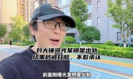 刘大锤打脸爆料视频,揭秘娱乐圈惊人内幕