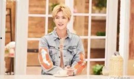 女子爆料鹿晗视频大全,揭秘明星私生活背后的真相