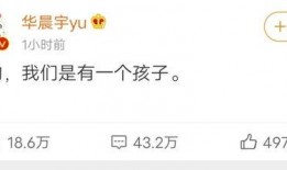 娱乐圈爆料的晋江文,晋江文改编的爆款剧幕后故事