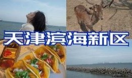 娱乐吃瓜酱自驾游,跟随吃瓜酱畅游天下