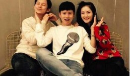 何炅和谢娜最新爆料,揭秘娱乐圈背后的故事与真相