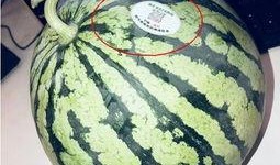 3元买网红吃瓜,揭秘网络红人的幕后真相