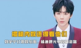 刘宇宁圈内爆料视频,娱乐圈不为人知的真相