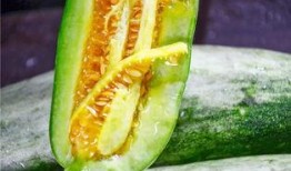 彩虹吃瓜的其他网红,揭秘网红圈的那些事儿