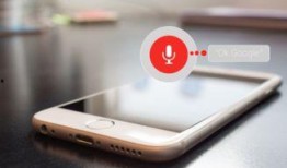 手机网在线观看,手机网在线观看新体验