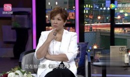 何炅爆料歌手视频,揭秘歌手背后的感人故事