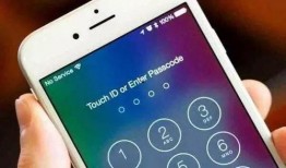 手机网在线观看,手机网在线观看新体验