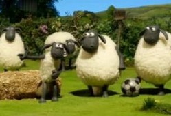 小羊爆料谣言视频,真相与误解的交织