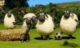 小羊爆料谣言视频,真相与误解的交织