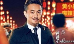 黄磊爆料节目视频播放大全,节目视频播放大全背后的精彩瞬间