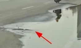 保定复兴路爆料新闻最新,惊现神秘事件，真相即将揭晓！