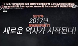 防弹员工爆料视频大全,视频大全背后的惊人真相