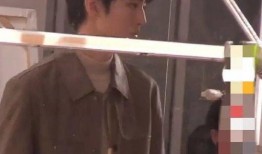 狗仔爆料王俊凯视频播放,狗仔爆料引发网友热议