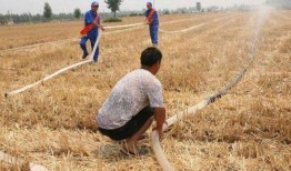 农民二龙最新的爆料,农业新动向背后的惊人内幕