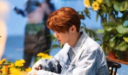 女子爆料鹿晗视频大全,揭秘明星私生活背后的真相