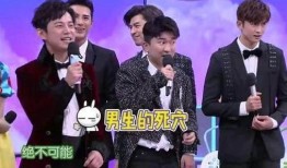 何炅爆料海涛视频,揭秘背后故事与感人瞬间