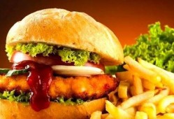 网友爆料汉堡包视频大全,汉堡包视频大全，揭秘美食背后的秘密